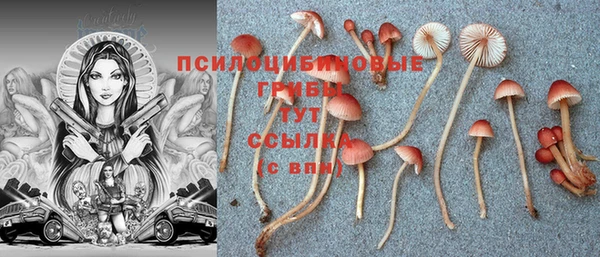 герыч Алексин