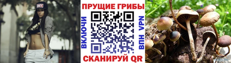 Галлюциногенные грибы мухоморы  Чебаркуль 